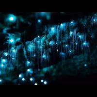Glowworms in Motion - A Time-lapse of NZ&#039;s Glowworm Caves in 4K