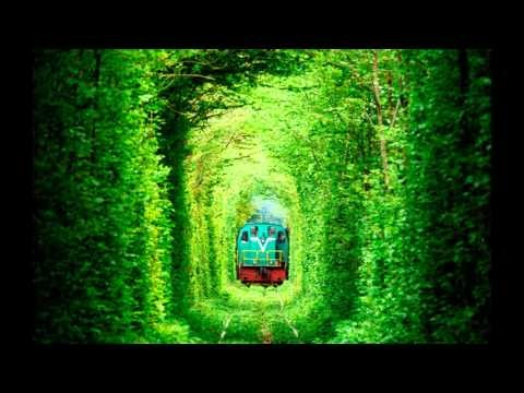 Tunnel Of Love in Ukraine 2017 Most Romantic place on Earth HD 2016