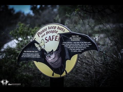Bat Cave at Kickapoo State park