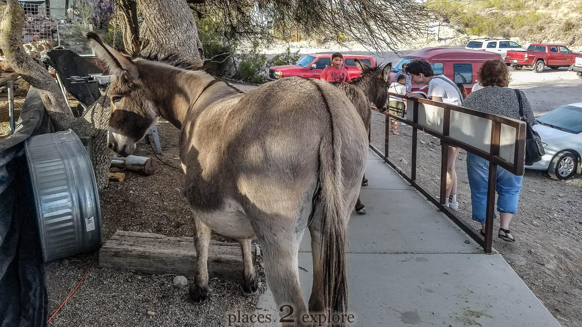 2018-04-02 Oatman