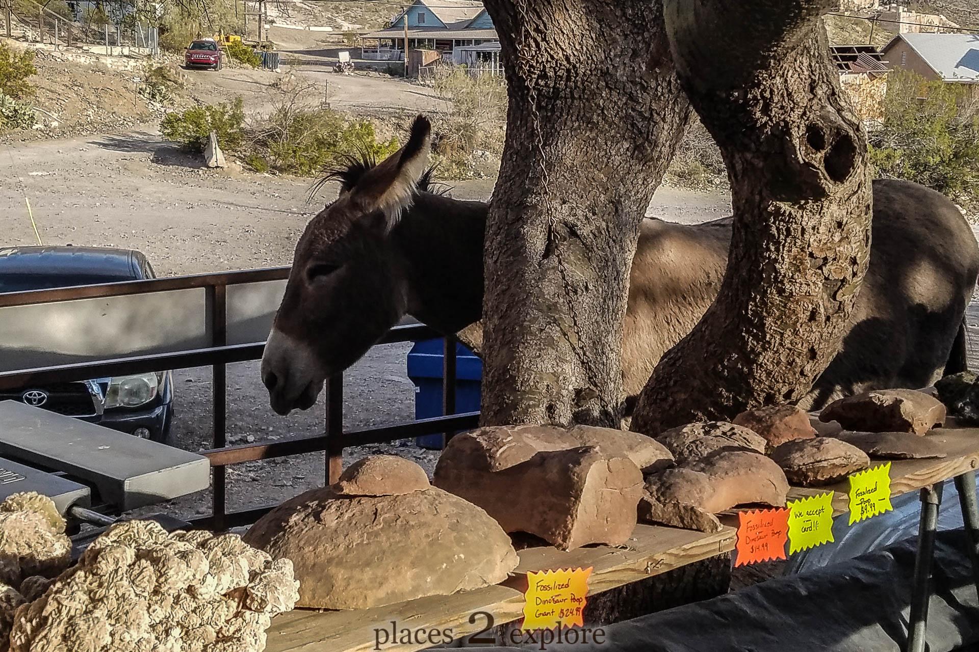 2018-04-02 Oatman