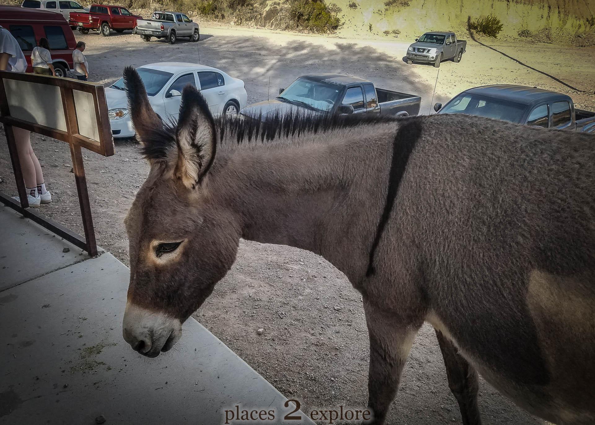 2018-04-02 Oatman