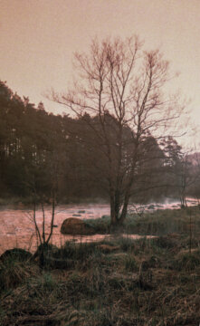 Abandoned Railtrack #3-11