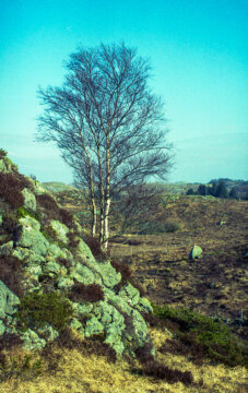 #18 - Trip to Jæren