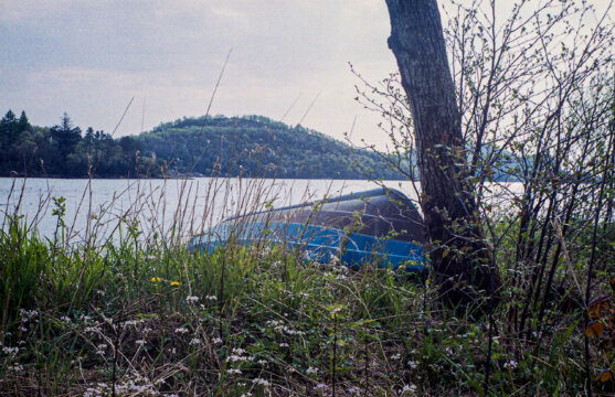 Photo information:
Film type: 135.
Film manufacturer: Fujifilm.
Film name: Superia.