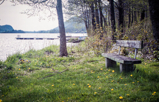 Photo information:
Film type: 135.
Film manufacturer: Fujifilm.
Film name: Superia.