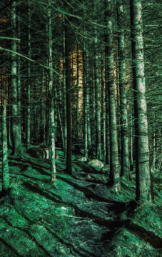 Abandoned Railtrack #3-27