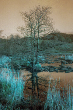 Abandoned Railtrack #3-32