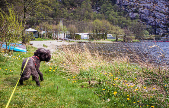 Photo information:
Film type: 135.
Film manufacturer: Fujifilm.
Film name: Superia.