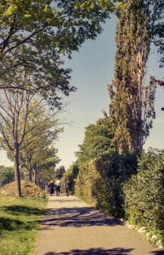 Photo information:
Film manufacturer: Kodak.
Film name: Ultramax.
Alias: .