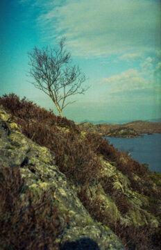 #26 - Trip to Jæren