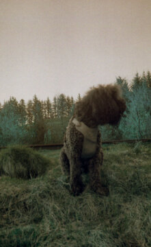 Abandoned Railtrack #3-12