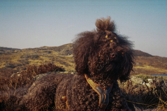 #31 - Trip to Jæren