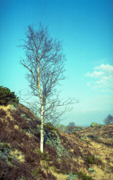 #21 - Trip to Jæren