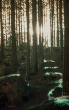 Abandoned Railtrack #3-20