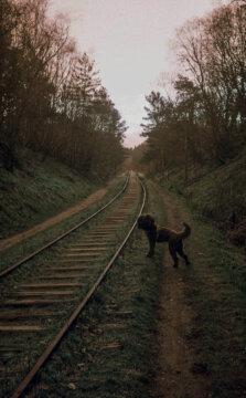 Abandoned Railtrack #3-06