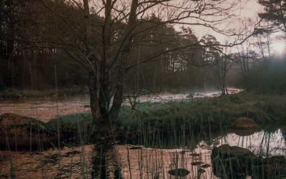 Abandoned Railtrack #3-09