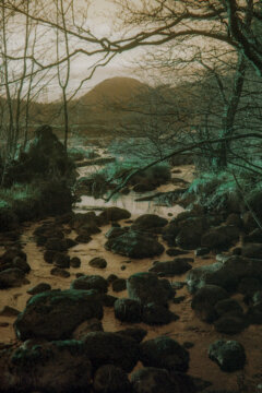 Abandoned Railtrack #3-26