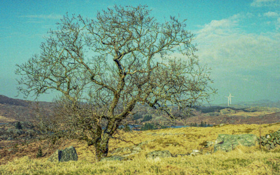 #11 - Trip to Jæren