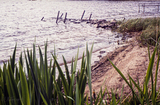 Photo information:
Film type: 135.
Film manufacturer: Fujifilm.
Film name: Superia.