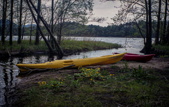 ???????????????????????????????????????????????????????????????????????????????????????????