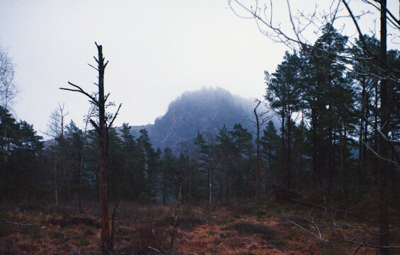 Photo information:
Film type: 135.
Film manufacturer: Lomography.
Film name: Color Negative.
Scanner manufacturer: EPSON.
Scanner model: V550.