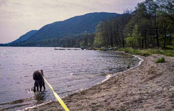 Photo information:
Film type: 135.
Film manufacturer: Fujifilm.
Film name: Superia.