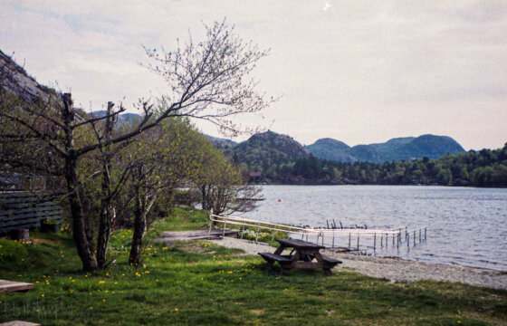 Photo information:
Film type: 135.
Film manufacturer: Fujifilm.
Film name: Superia.