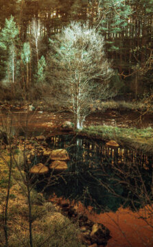 Abandoned Railtrack #3-13