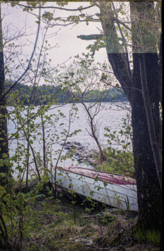 ???????????????????????????????????????????????????????????????????????????????????????????