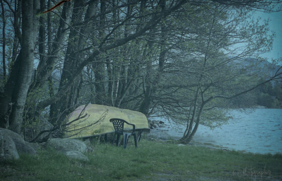 Photo information:
Film type: 135.
Film manufacturer: Fujifilm.
Film name: Superia.