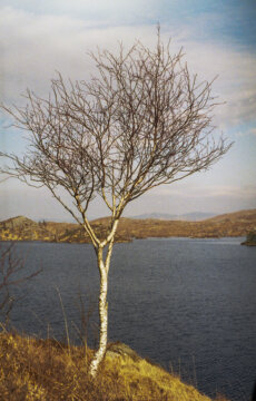 #27 - Trip to Jæren