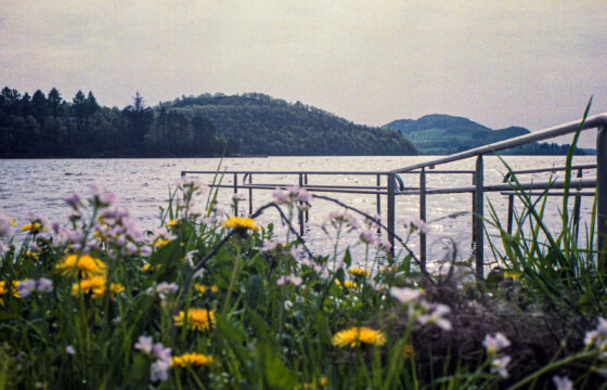 Photo information:
Film type: 135.
Film manufacturer: Fujifilm.
Film name: Superia.